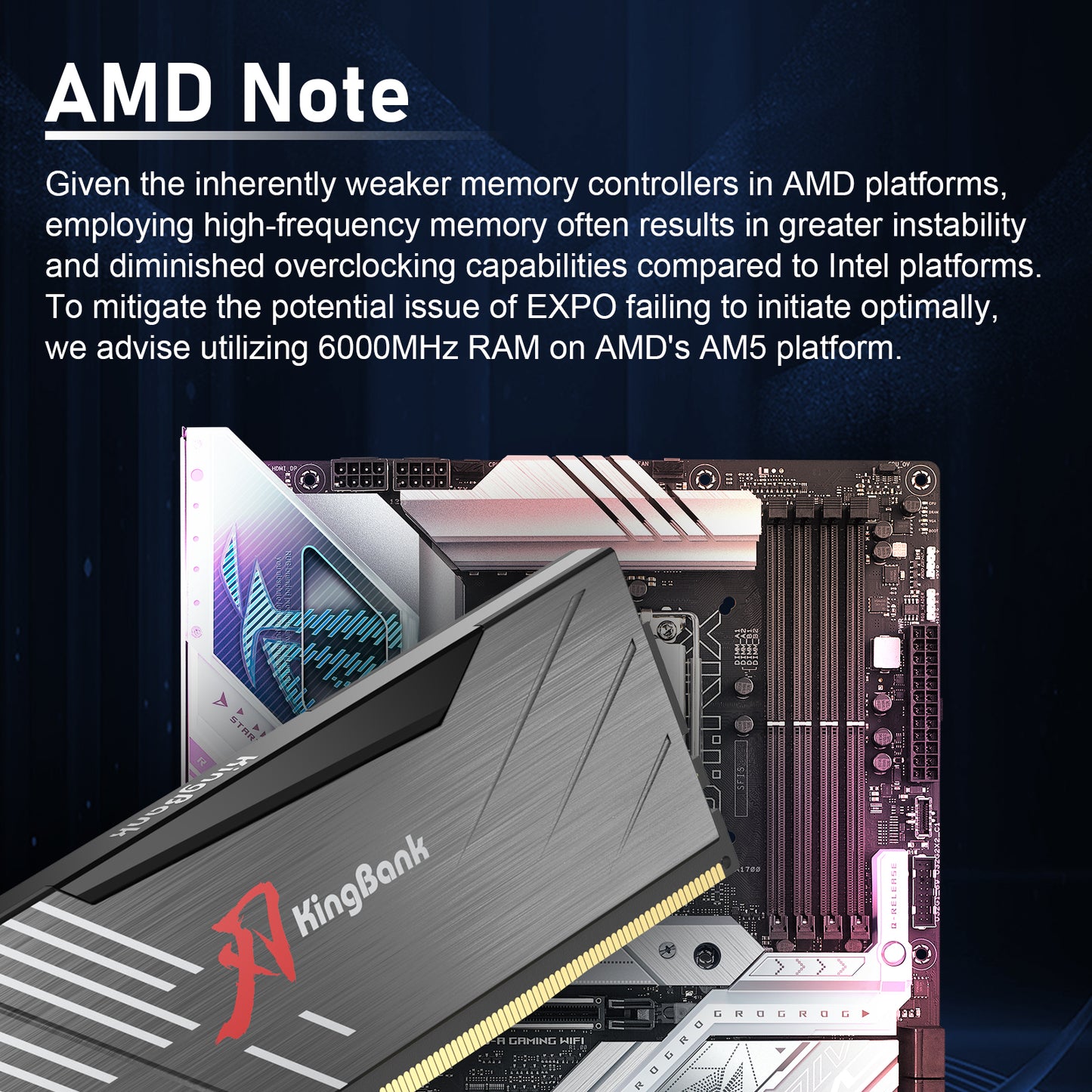 Kingbank KRXB DDR5 6000MHz 16GB*2 CXMT UDIMM Black