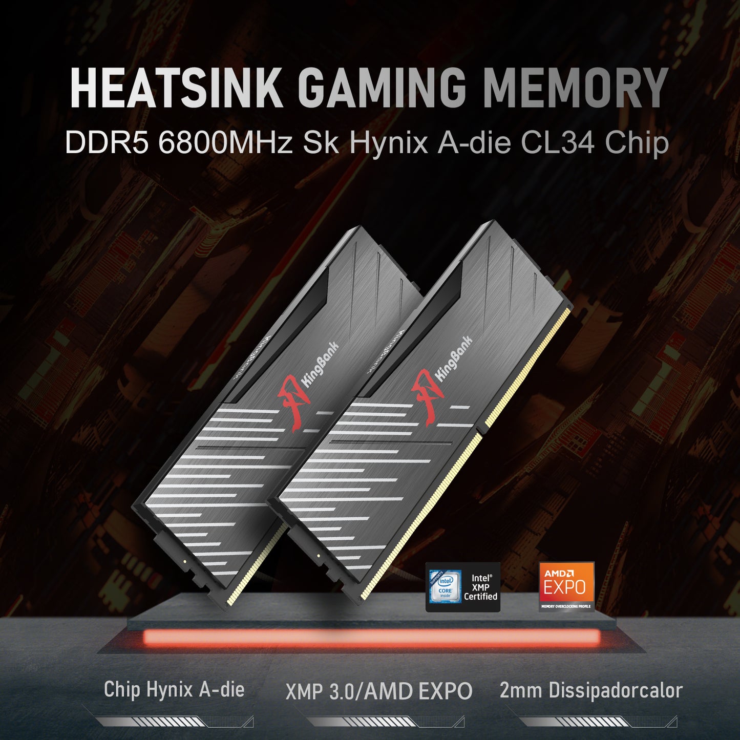 Kingbank KRXB DDR5 6000MHz 16GB*2 CXMT UDIMM Black
