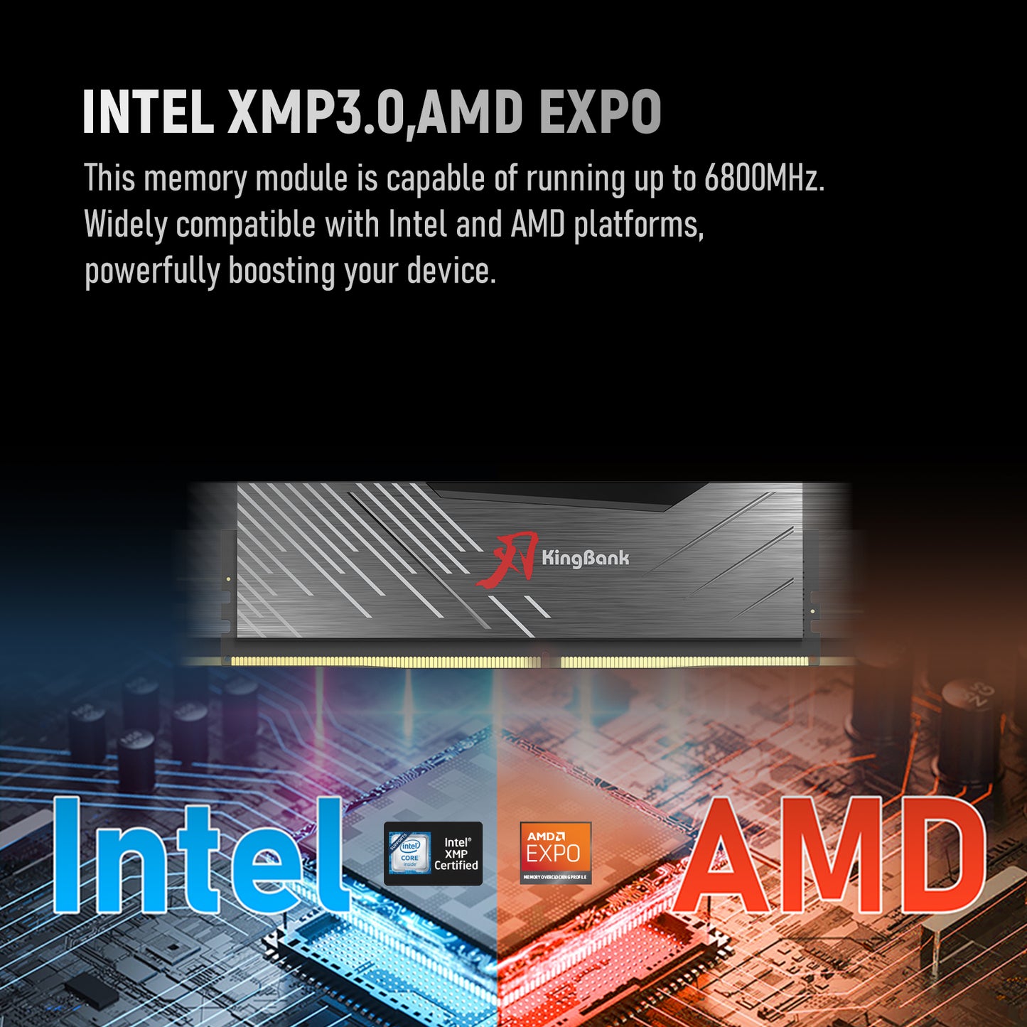 Kingbank KRXB DDR5 6000MHz 16GB*2 CXMT UDIMM Black