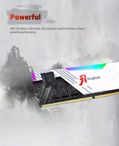 Kingbank KRRW DDR5 6000MHz 32GB*2 UDIMM M Hynix CL36 White RGB