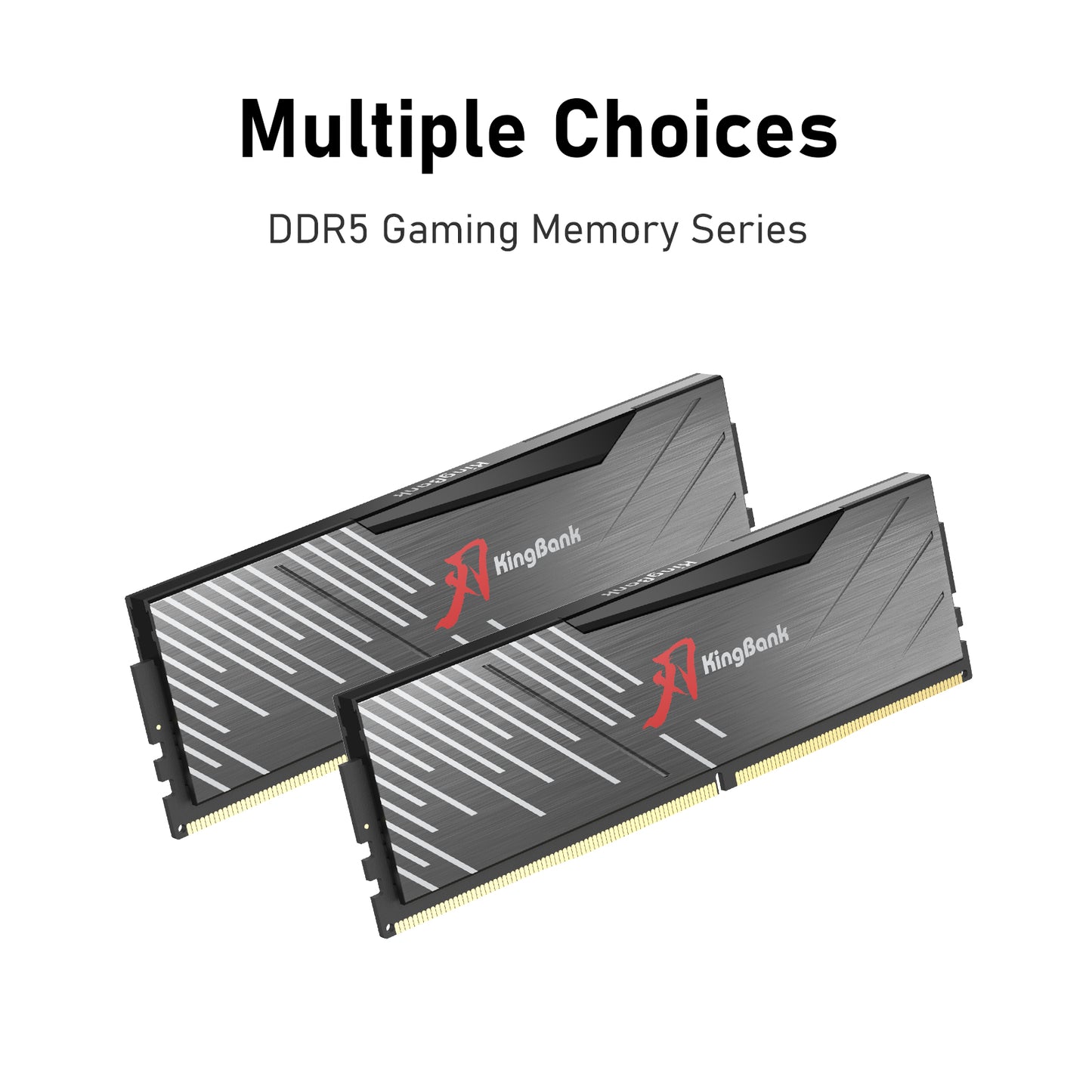 Kingbank KRXB DDR5 6000MHz 16GB*2 CXMT UDIMM Black